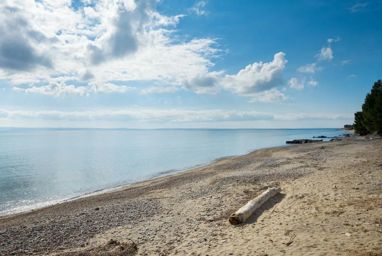 Villa Vitamin Sea Beachfront Villa, Sithonia #Feelslikehome Metamorfosi